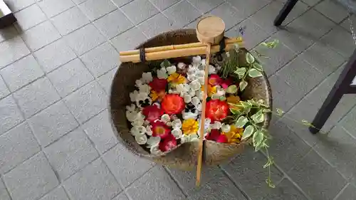 美瑛神社の手水