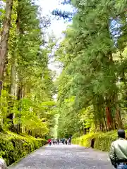 日光二荒山神社の建物その他