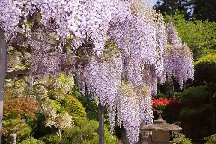 天台宗 五大山 白毫寺(兵庫県)