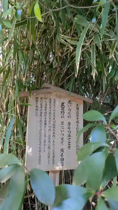 川越氷川神社(埼玉県)