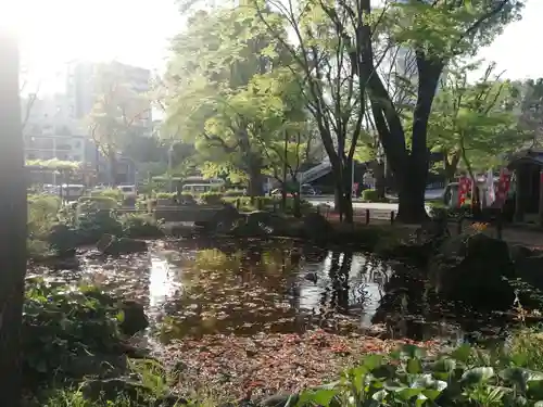 増上寺塔頭 三縁山 宝珠院の庭園