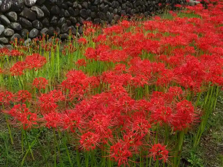 横浜 西方寺の自然