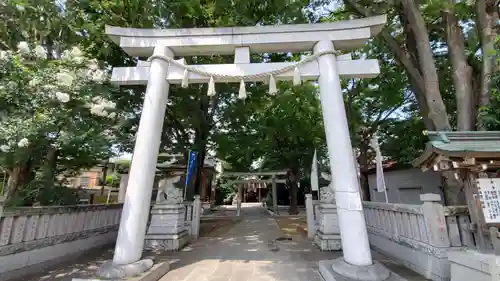 大鳥神社の鳥居