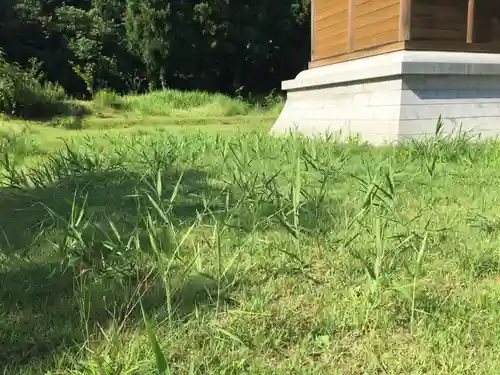 居多神社の自然