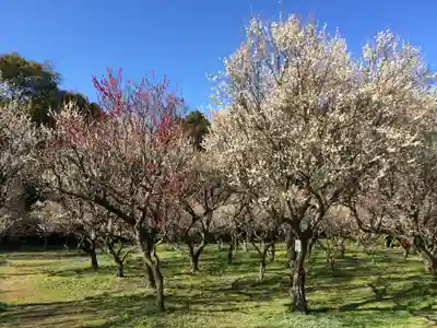 綱敷天満宮(福岡県)