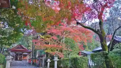 大田神社（賀茂別雷神社境外摂社）のその他建物