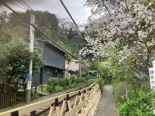 御霊神社(神奈川県)