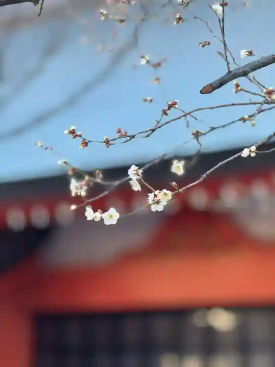 花園神社(東京都)