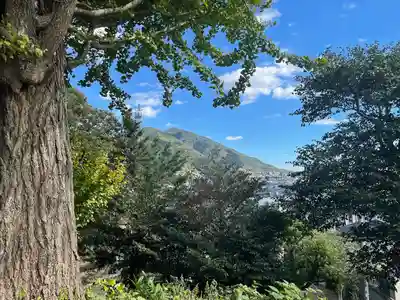 白髭神社の景色