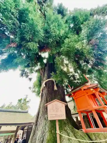 春日大社の{uncategorized: "未分類", other: "その他", undefined: "問題あり", building: "その他建物", grave: "お墓", sacred_gate: "鳥居", guardian: "狛犬", statue: "像", buddha: "仏像", history: "歴史", nature: "自然", garden: "庭園", animal: "動物", pagoda: "塔", temizu: "手水舎", mountain_gate: "山門・神門", sanctuary: "本殿・本堂", subordinate: "末社・摂社", art: "芸術", scenery: "景色", jizo: "地蔵", ema: "絵馬", goshuin: "御朱印", omikuji: "おみくじ", items: "授与品その他", amulet: "お守り", goshuincho: "御朱印帳", eats: "食事", festival: "お祭り", votive_dance: "神楽", shichigosan: "七五三参", wedding: "結婚式", experience: "体験その他", initially: "初詣", around: "周辺", anti_infection: "感染症対策"}