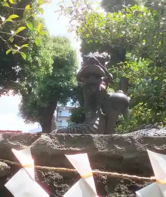 田無神社の狛犬