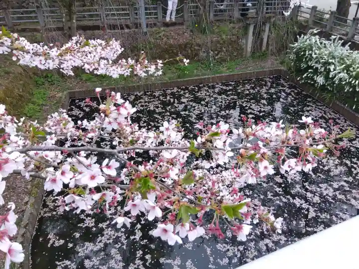 飛驒護國神社(岐阜県)