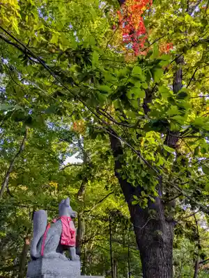 小樽稲荷神社(北海道)