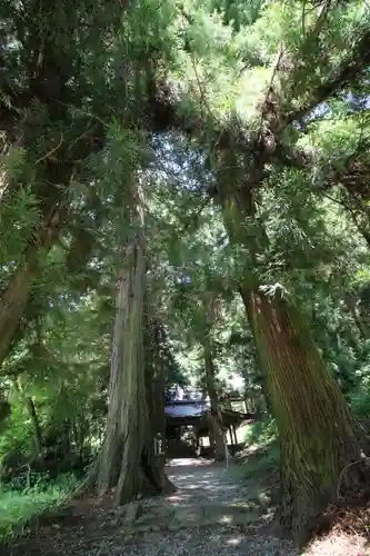 北野天神社の建物その他