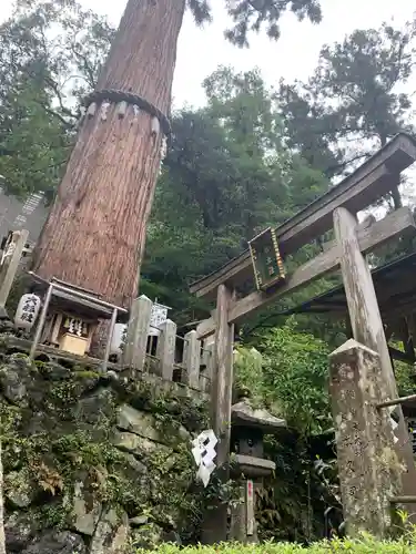 由岐神社の鳥居