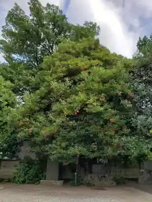 慈宏寺(東京都)