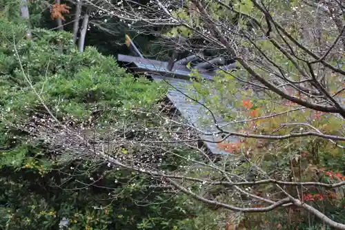 開成山大神宮の庭園