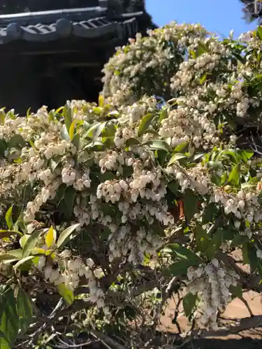 境香取神社の自然