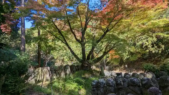 愛宕念仏寺(京都府)
