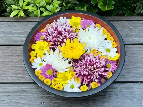 増上寺塔頭 三縁山 宝珠院(東京都)