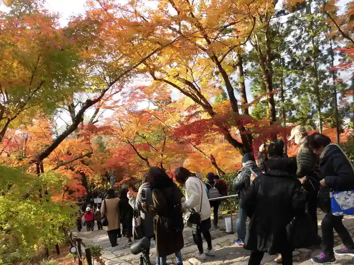 禅林寺(永観堂)(京都府)