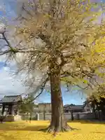 普門寺(栃木県)