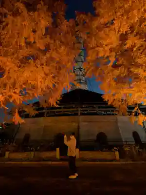 野木神社(栃木県)