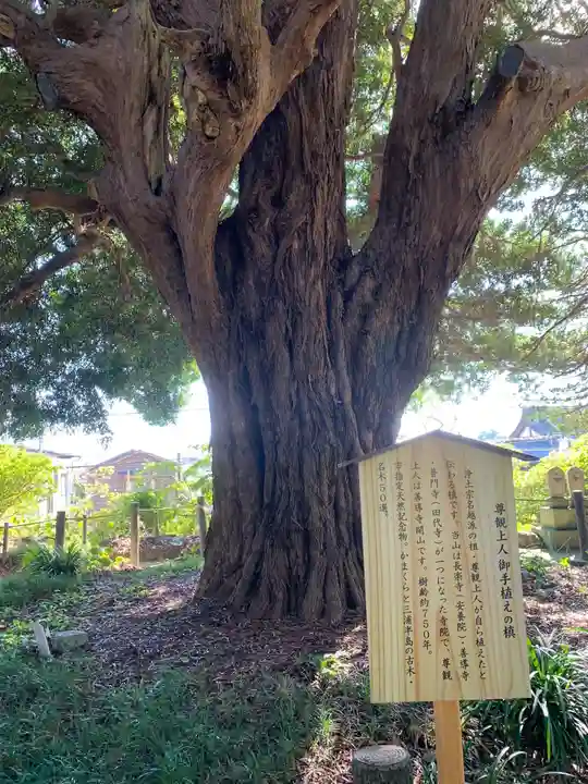 安養院 (田代寺)(神奈川県)