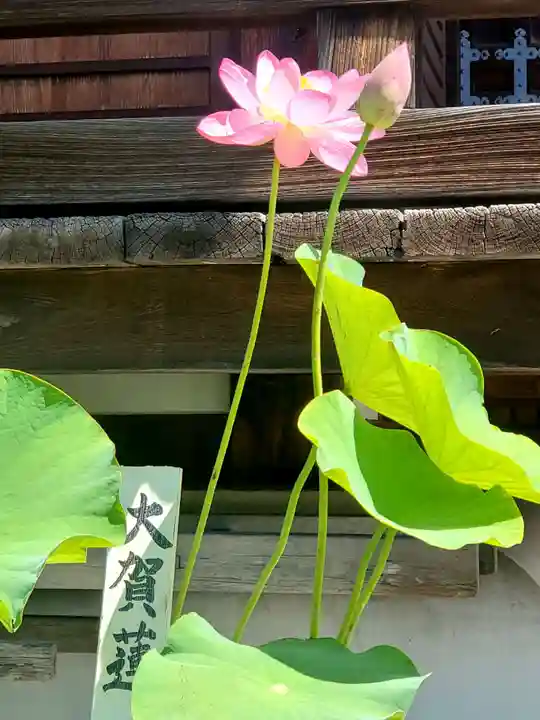 善導寺(福島県)