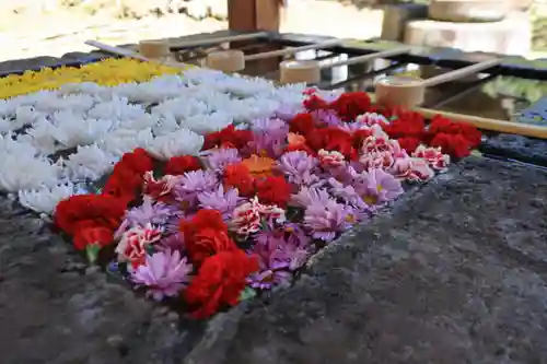 土津神社｜こどもと出世の神さまの手水