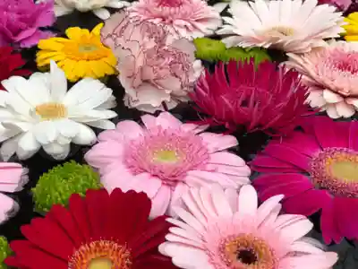 法輪寺の手水舎