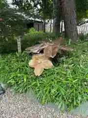 櫻木神社(千葉県)