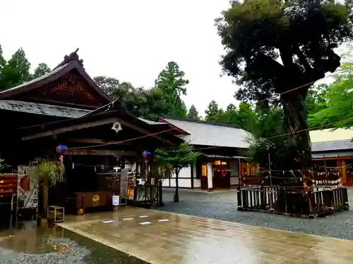 井伊谷宮の本殿・本堂