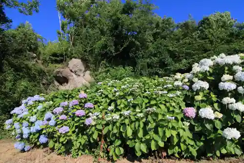 滑川不動尊の庭園