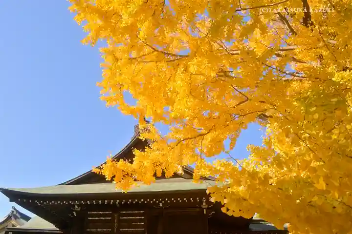 葛飾八幡宮の自然
