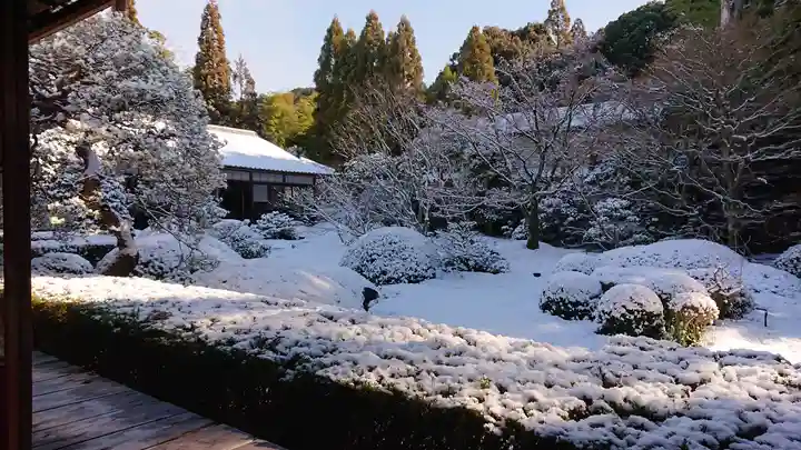 雲龍院(京都府)