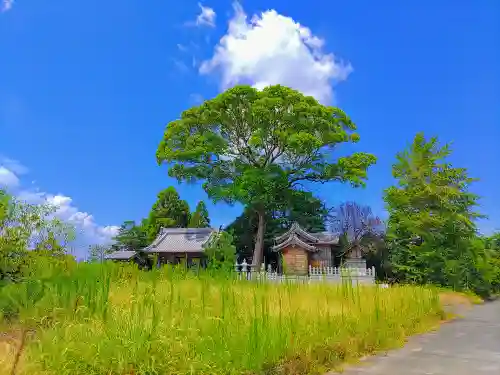 神明社（片原一色町如来）の建物その他