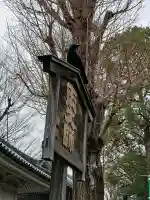 輪王寺両大師堂(寛永寺輪王殿)の{uncategorized: "未分類", other: "その他", undefined: "問題あり", building: "その他建物", grave: "お墓", sacred_gate: "鳥居", guardian: "狛犬", statue: "像", buddha: "仏像", history: "歴史", nature: "自然", garden: "庭園", animal: "動物", pagoda: "塔", temizu: "手水舎", mountain_gate: "山門・神門", sanctuary: "本殿・本堂", subordinate: "末社・摂社", art: "芸術", scenery: "景色", jizo: "地蔵", ema: "絵馬", goshuin: "御朱印", omikuji: "おみくじ", items: "授与品その他", amulet: "お守り", goshuincho: "御朱印帳", eats: "食事", festival: "お祭り", votive_dance: "神楽", shichigosan: "七五三参", wedding: "結婚式", experience: "体験その他", initially: "初詣", around: "周辺", anti_infection: "感染症対策"}