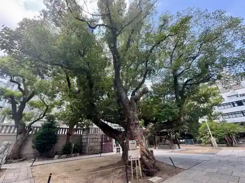 難波神社(大阪府)
