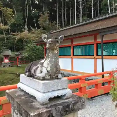 大原野神社の狛犬