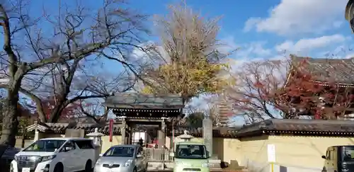 大勝院の本殿・本堂