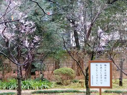 靖國神社の庭園