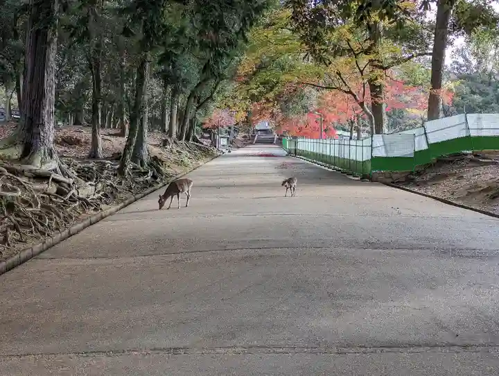手向山八幡宮(奈良県)
