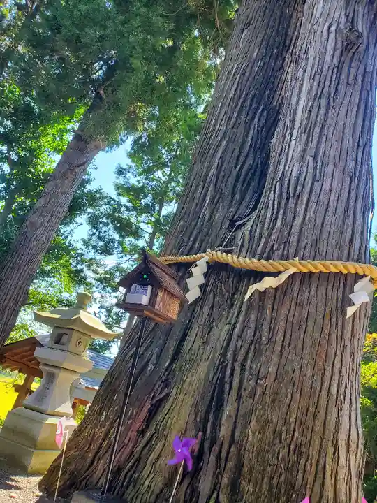 高司神社〜むすびの神の鎮まる社〜の自然