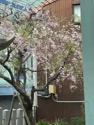 二宮神社の{uncategorized: "未分類", other: "その他", undefined: "問題あり", building: "その他建物", grave: "お墓", sacred_gate: "鳥居", guardian: "狛犬", statue: "像", buddha: "仏像", history: "歴史", nature: "自然", garden: "庭園", animal: "動物", pagoda: "塔", temizu: "手水舎", mountain_gate: "山門・神門", sanctuary: "本殿・本堂", subordinate: "末社・摂社", art: "芸術", scenery: "景色", jizo: "地蔵", ema: "絵馬", goshuin: "御朱印", omikuji: "おみくじ", items: "授与品その他", amulet: "お守り", goshuincho: "御朱印帳", eats: "食事", festival: "お祭り", votive_dance: "神楽", shichigosan: "七五三参", wedding: "結婚式", experience: "体験その他", initially: "初詣", around: "周辺", anti_infection: "感染症対策"}