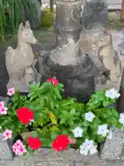 亀戸浅間神社の狛犬