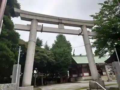 奥戸天祖神社の鳥居