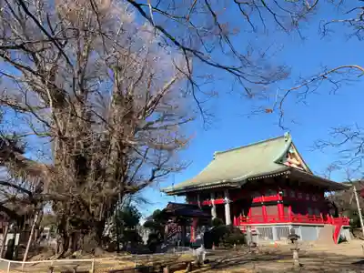 千葉寺の本殿・本堂