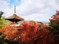 常寂光寺の景色