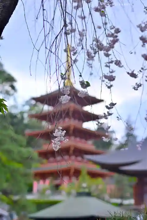 高幡不動尊 金剛寺(東京都)